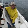 Steve Key pulled many bass from New Yorks Fishers Island waters.
