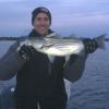 Kurt LaButti with yet another nice striper caught during the cinder worm hatch