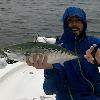Pete Kutzer of Orvis' Manchester, VT fly fishing school with one of his many False Albacore on a rainy and foggy day off of Fishers Island New York
