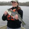 Ms Madeleine with one of many stripers she caught during the cinder worm hatch
