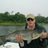 Capt. Jim Barr pulled this nice bass from skinny water on Prudence Island
