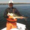 Capt Roger StGermain caught several nice stripers near Prudence Island in Narragansett Bay
