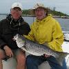 Steve Key with a nice Fishers Island bass

