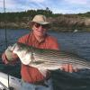 Steve Key with a nice bass pulled from beneath Jamestown's Mackerel Cove cliffs.
