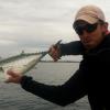 Ty Patten from Orvis in Dedham boated many nice False Albacore off Scarborough Beach in Narragansett
