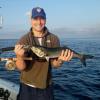 Bob Voltaggio of New York with a nice Blue caught on the Watch Hill Reefs
