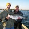 Daren Cuppet (L) and Bryan Cikowski of Mineral Point, PA and Indiana, PA (respectively) with a nice striper caught in Ninigret Pond during the worm hatch
