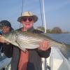 Steve Key with a gorgeous Ninigret Pond striper caught in May during the worm hatch.
