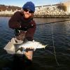 Fly fishing guide Jack Yeaton of Saratoga Springs, NY and Colorado caught some nice school bass in the Narrow River late in the season

