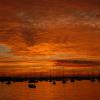 Newport Harbor comes alive with topwater Stripers at sunset