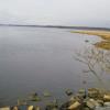 Marshes holding grass shrimp and hungry Stripers