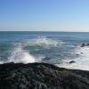 Bass stand on the Cliff Walk in Newport